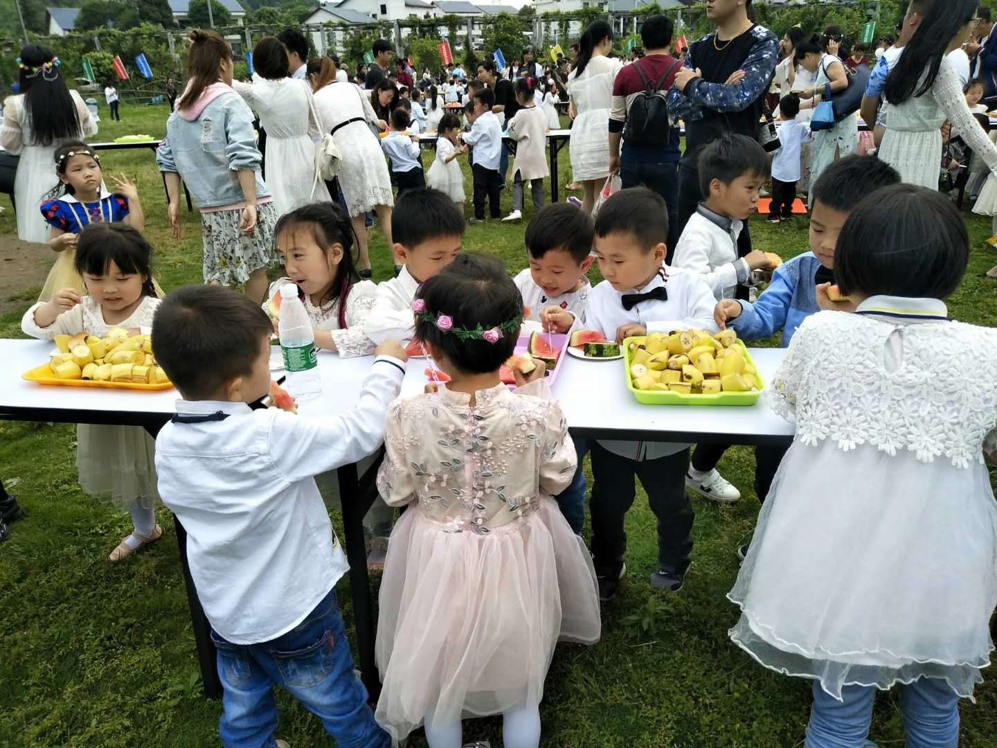 金豆豆幼兒園4